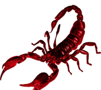 红色蝎子