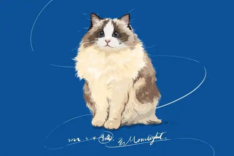 月光女神moonlight布偶猫插画定制