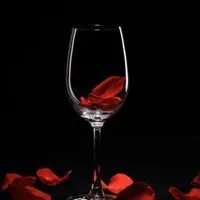 红酒高脚杯唯美头像 用高脚杯端红酒头像_微信头像图片大全