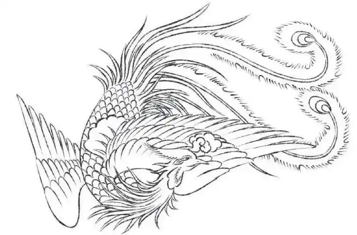 工笔凤凰的绘画步骤