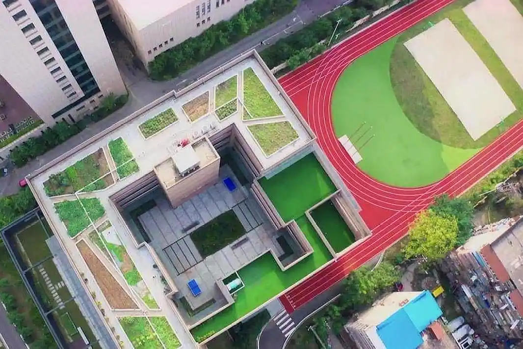 原创筑梦起航,武汉市育才第二小学,"一校三区"办学新格局