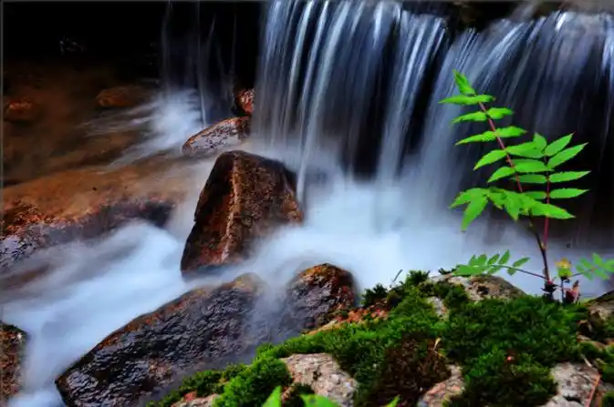 云水禅心美文情感