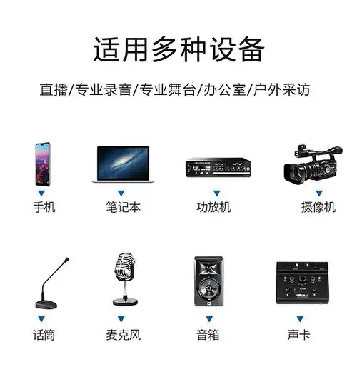 oloey 6.5mm大二芯转卡农母音频线动圈麦克风连接线话筒信号线 大两-