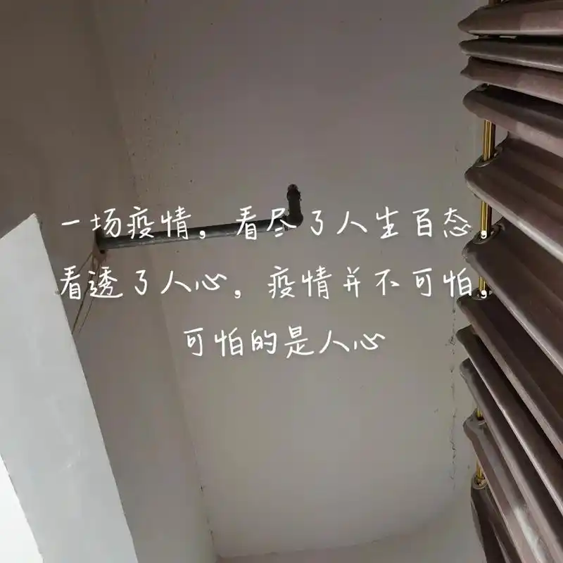 一场疫情,看尽了人生百态,看透了人心,疫情并不可怕,可怕的 - 兑趑