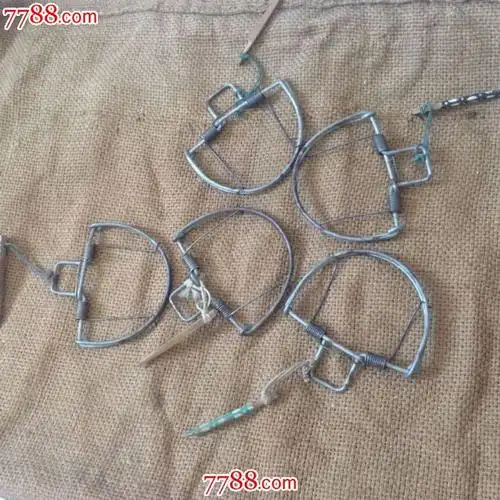 老式鸟兽鼠夹5个