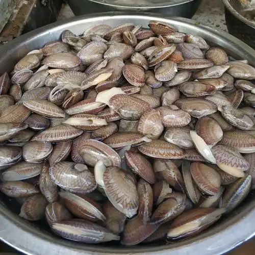 ▼这里的花甲相当肥美新鲜,当地农贸市场卖25元/斤,这里卖40元/斤,真