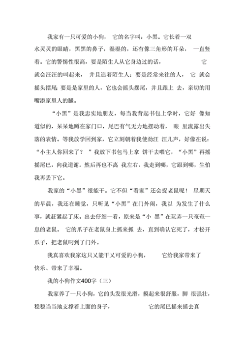 我的小狗作文400字.docx 3页