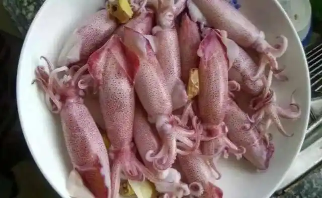 白灼鱿鱼仔不会做?注意这两步,脆香不腻,鲜甜q滑