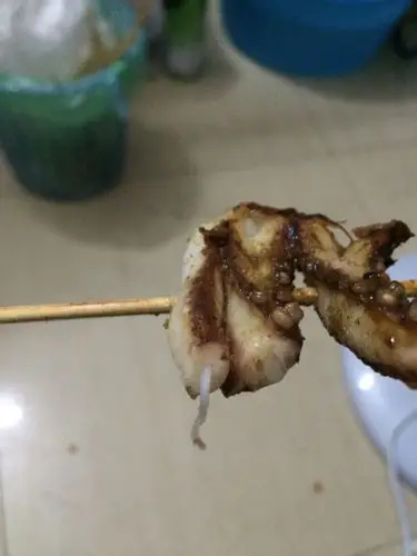 这是鱿鱼的寄生虫吗?吃烧烤吃出来的
