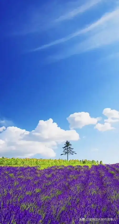 发朋友圈形容风景美的句子(大自然风景优美的唯美说说) _飞翔号