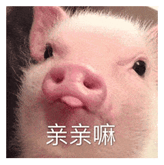 要亲亲,要抱抱,还要举高高?