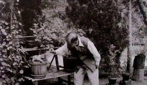 他被称为"中国希特勒",外表儒雅却内心狠毒,曾欺负张学良夫妇