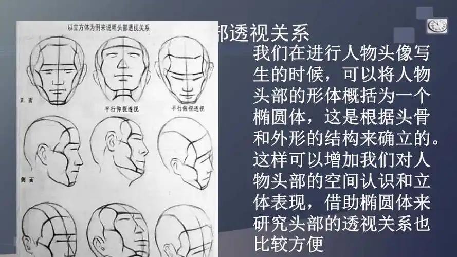 素描人头像知识讲解ppt课件(优质)