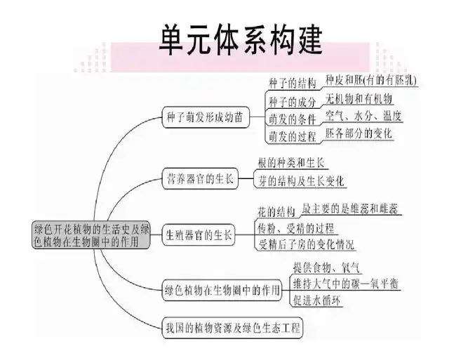 2018年秋北师大版七年级生物上册同步课件:第三单元第3单元 第6,7章
