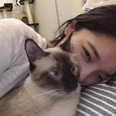 抱猫女头像高清好看可爱的女生抱猫头像高清图片