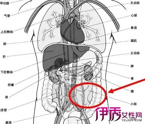如下:一,慢性左下腹隐痛:1,生殖器慢性炎症:女性长时间发生腰骶部疼痛