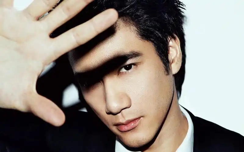 王力宏撞脸高晓松 王力宏的个人资料