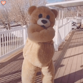 跳舞小熊表情包动图⑧