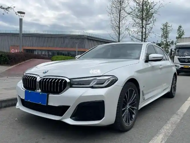 宝马5系 2021款 530li 领先型 m运动套装