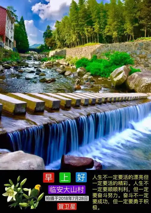 100张早上好问候图片分享(4)