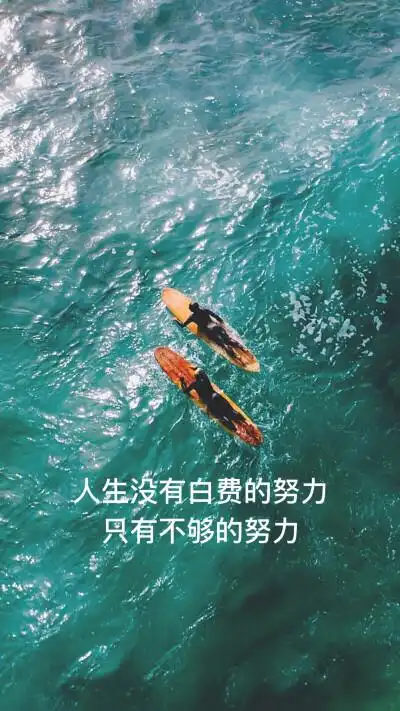努力的人生格言