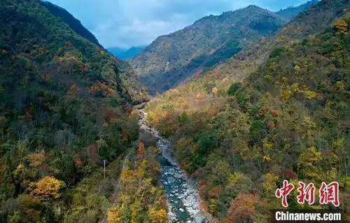 摄 群山叠嶂,彩林满山,位于四川省绵阳市平武县的老河沟自然保护区