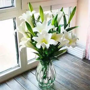 香水百合花水培水养花插室内客厅办公室四季好养鲜切花卉北京同城