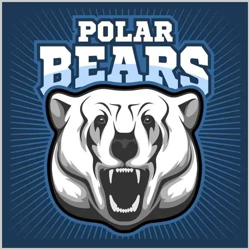 矢量手绘熊图标设计