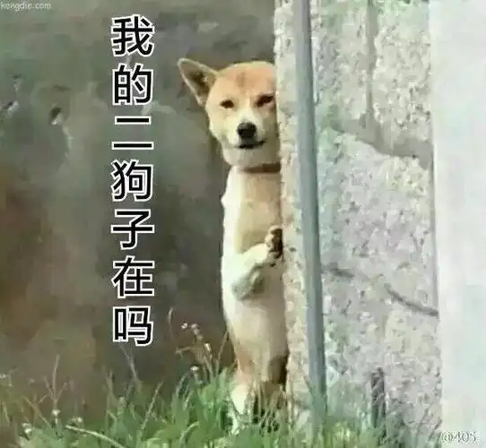 火了!厦门这家小吃店一夜间爆红网络!更让人大跌眼镜的是.