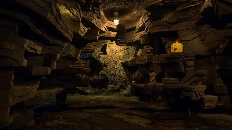 沈鸿林:酒庄是中国沈酒的本真回归