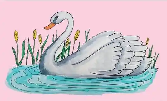 白天鹅简笔画 白天鹅简笔画简单又漂亮