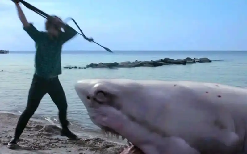 一种变异鲨鱼,人类被其咬后竟变成了丧尸,这下厉害了