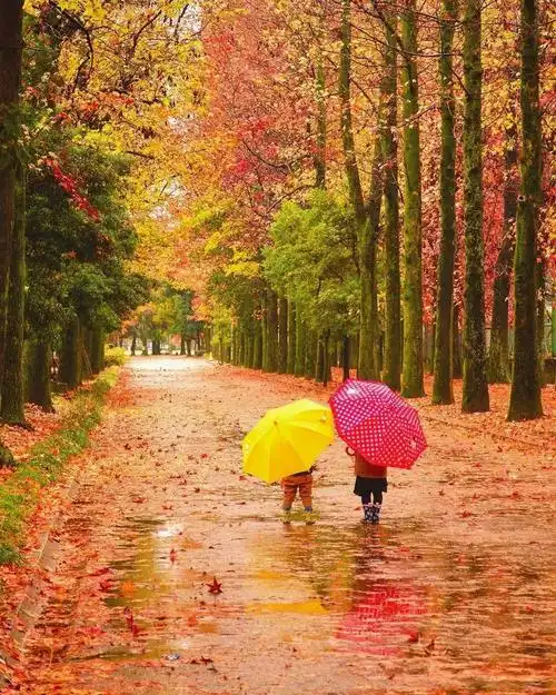 荐温暖治愈的摄影师爸爸镜头下的女儿像游历人间的小精灵