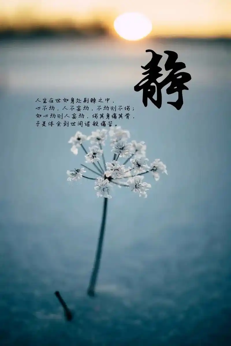 让心静下来, 你才能看淡一切.