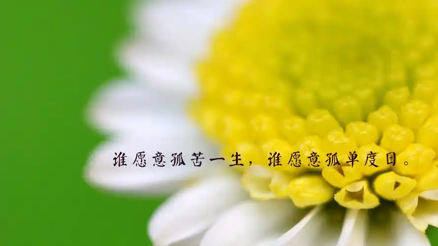 一个人心情难过的伤感说说短语配图