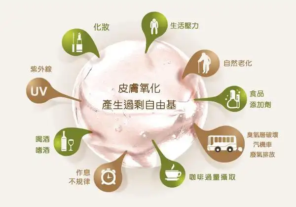 三大抗氧化防衰老的天然食材葡萄胡萝卜肉苁蓉