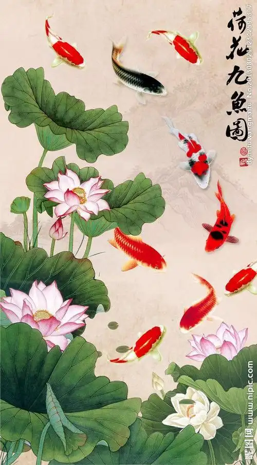 国画九鱼荷花简笔画 简笔画图片大全-蒲城教育文学网