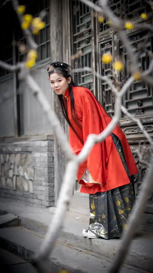 赏梅的古代才女