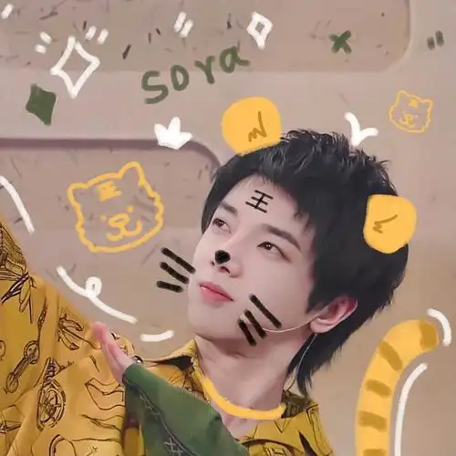 用过的花花华晨宇的头像