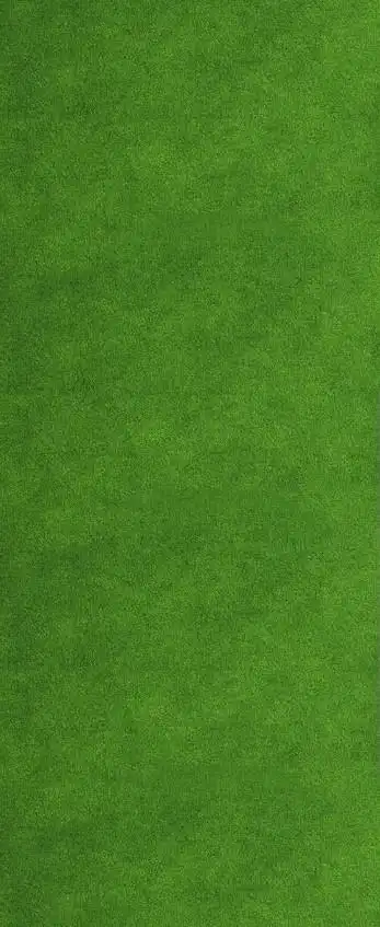 草绿色底纹背景