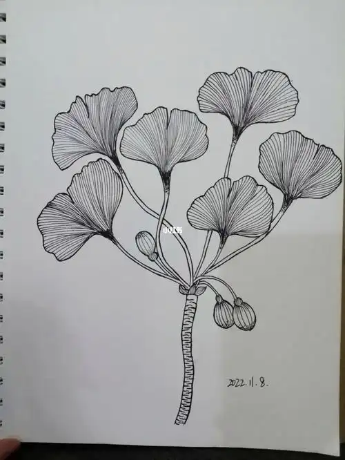 银杏的叶子里的线条好难画,尽最大的努力画手还是抖