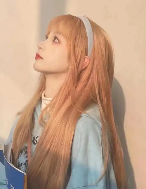 神仙发色香槟金