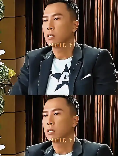 甄子丹为退出美国籍,放弃五分之一家产,全是因为功夫的影响?-度小视