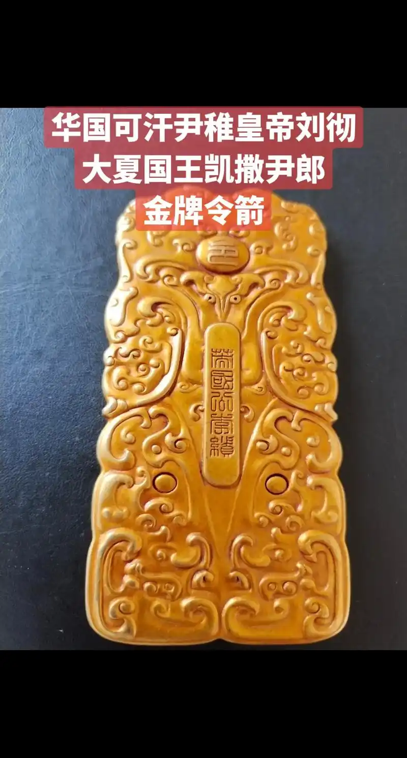 🇨🇳酸菜🥬爱上鱼🐟·1年前持此令牌,如朕亲临