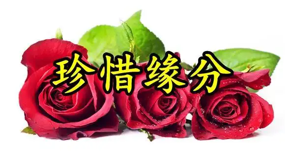 情歌:《珍惜缘分》无论我走到哪里,你都在我的心里-音乐视频-搜狐视频