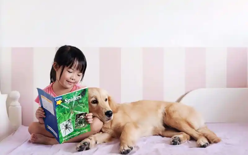 可爱宝宝宠物桌面壁纸之温馨时刻