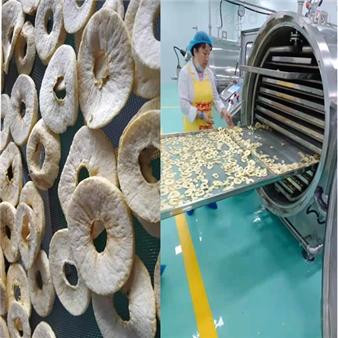 hl-1200-非油炸果蔬苹果脆片加工设备