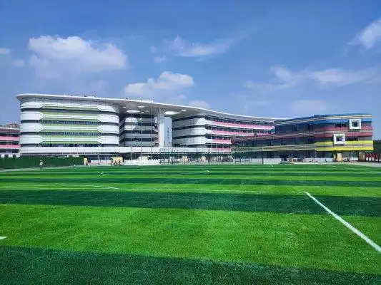 淄博美达菲国际学校项目顺利交付开学