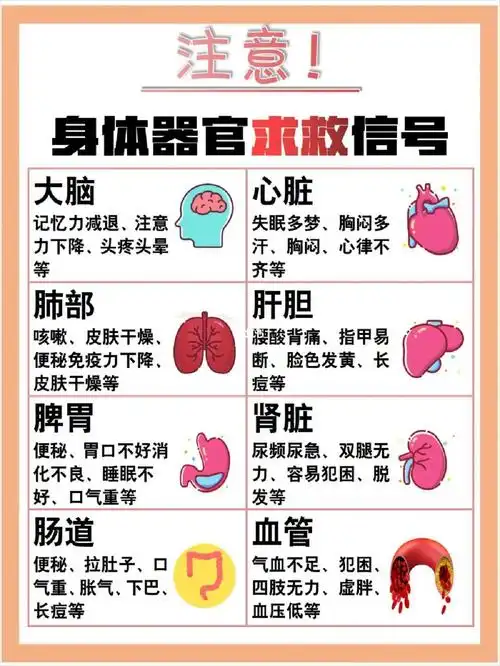 注意身体器官求救信号