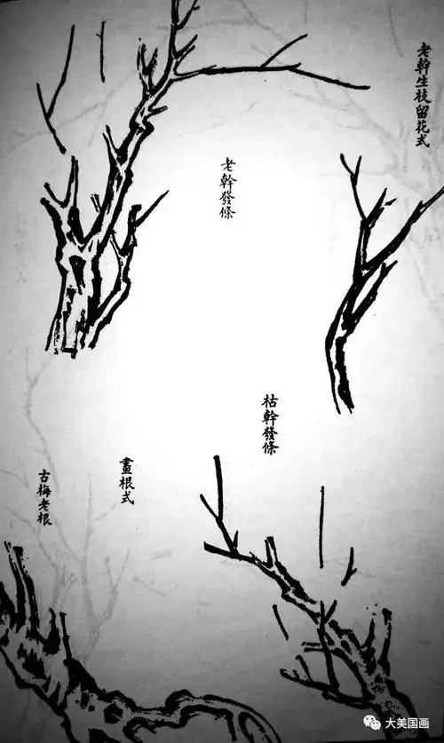 国画|带你六步画棵树